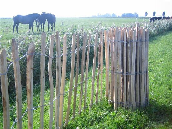 Rails de cl&ocirc;ture en ch&acirc;taignier -  80 cm x 460 cm