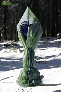 Tente de protection hivernale pour plantes exotiques - L 240 cm x 240 cm -  MyPalmShop
